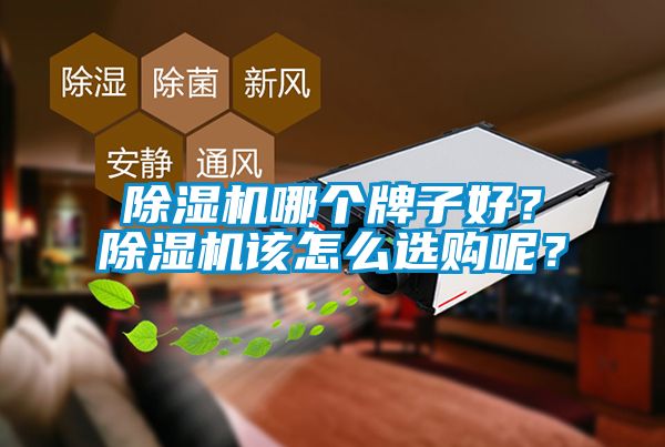 除濕機哪個牌子好？除濕機該怎么選購呢？