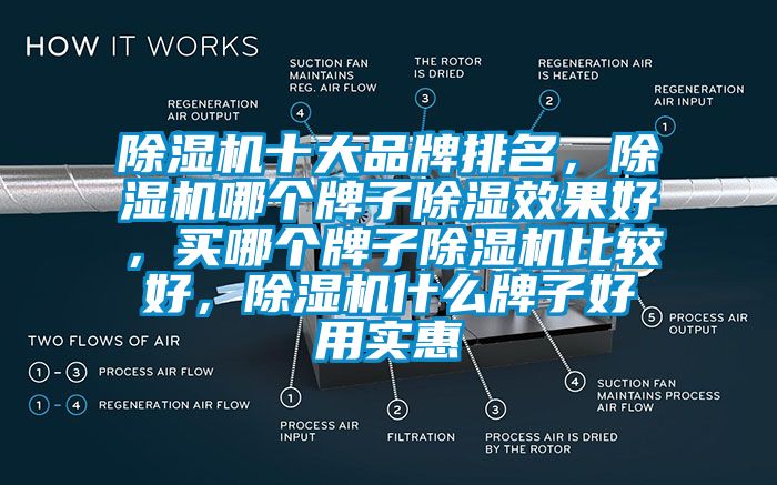 除濕機(jī)十大品牌排名，除濕機(jī)哪個(gè)牌子除濕效果好，買哪個(gè)牌子除濕機(jī)比較好，除濕機(jī)什么牌子好用實(shí)惠