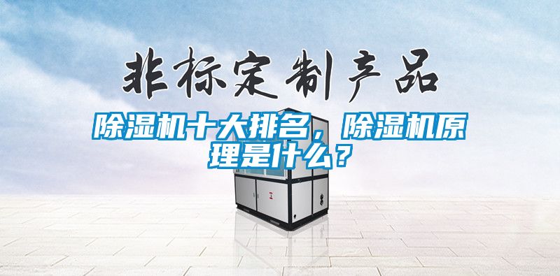 除濕機十大排名，除濕機原理是什么？