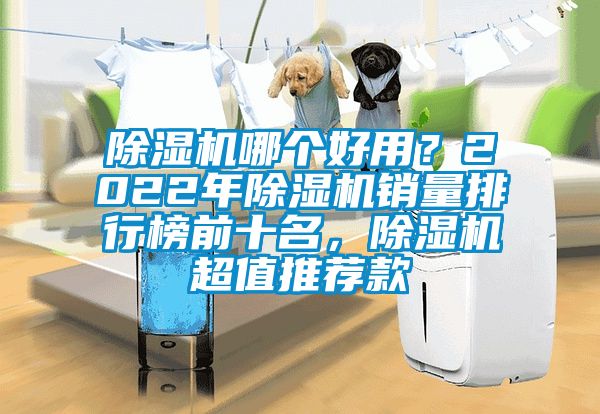 除濕機哪個好用？2022年除濕機銷量排行榜前十名，除濕機超值推薦款