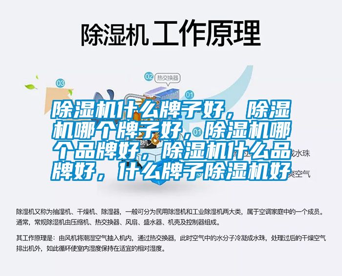 除濕機什么牌子好，除濕機哪個牌子好，除濕機哪個品牌好，除濕機什么品牌好，什么牌子除濕機好