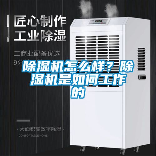 除濕機(jī)怎么樣？除濕機(jī)是如何工作的