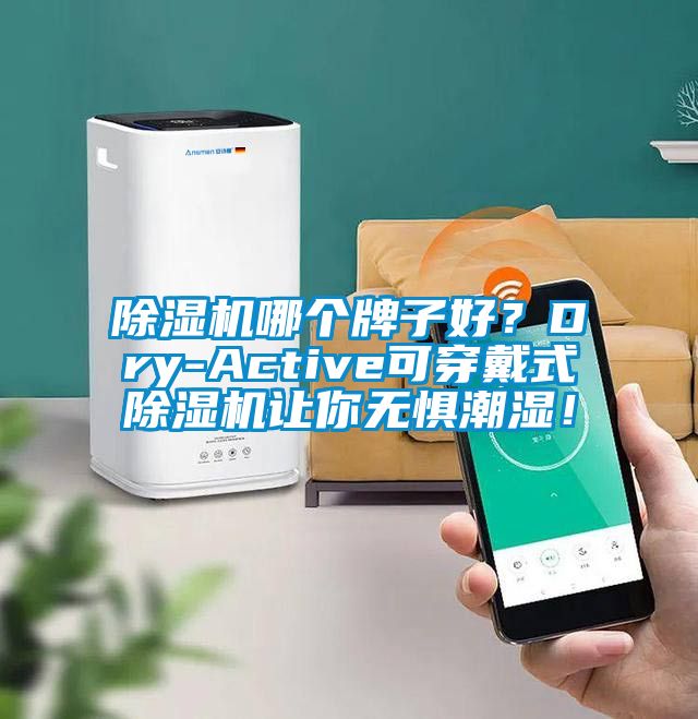 除濕機哪個牌子好？Dry-Active可穿戴式除濕機讓你無懼潮濕！