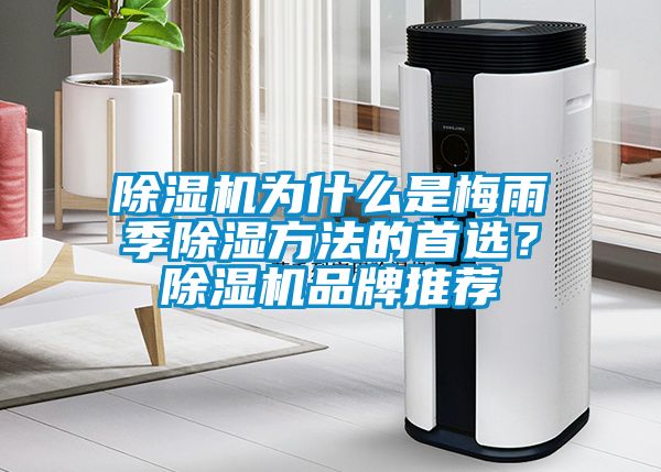 除濕機(jī)為什么是梅雨季除濕方法的首選？除濕機(jī)品牌推薦