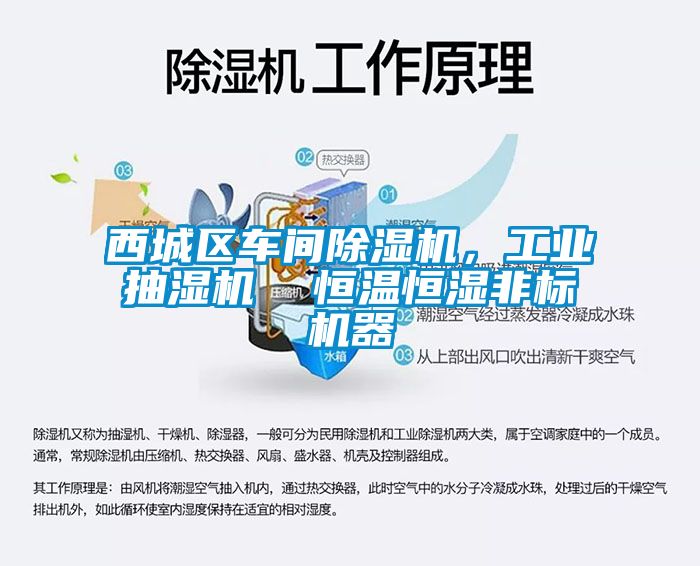 西城區(qū)車間除濕機，工業(yè)抽濕機  恒溫恒濕非標機器