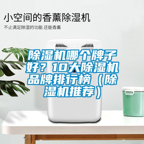 除濕機(jī)哪個(gè)牌子好？10大除濕機(jī)品牌排行榜（除濕機(jī)推薦）