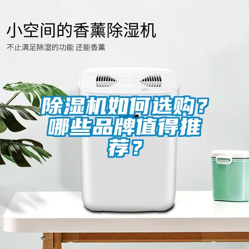 除濕機如何選購？哪些品牌值得推薦？