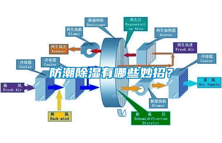 防潮除濕有哪些妙招？