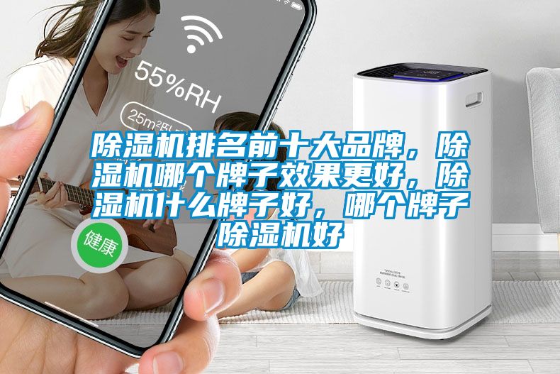 除濕機排名前十大品牌，除濕機哪個牌子效果更好，除濕機什么牌子好，哪個牌子除濕機好