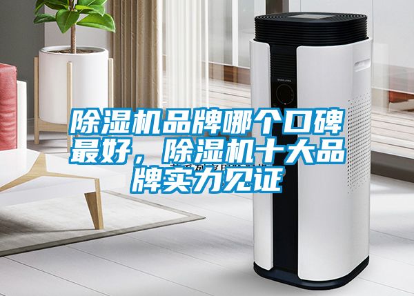 除濕機(jī)品牌哪個口碑最好，除濕機(jī)十大品牌實(shí)力見證