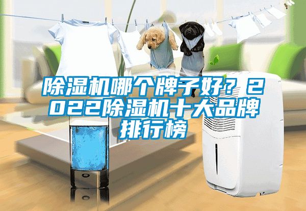 除濕機(jī)哪個牌子好？2022除濕機(jī)十大品牌排行榜