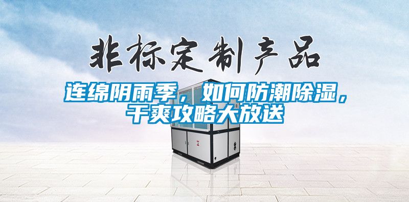 連綿陰雨季，如何防潮除濕，干爽攻略大放送