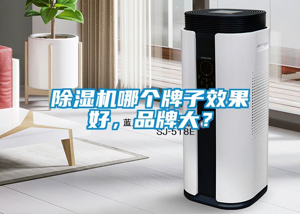 除濕機哪個牌子效果好，品牌大？