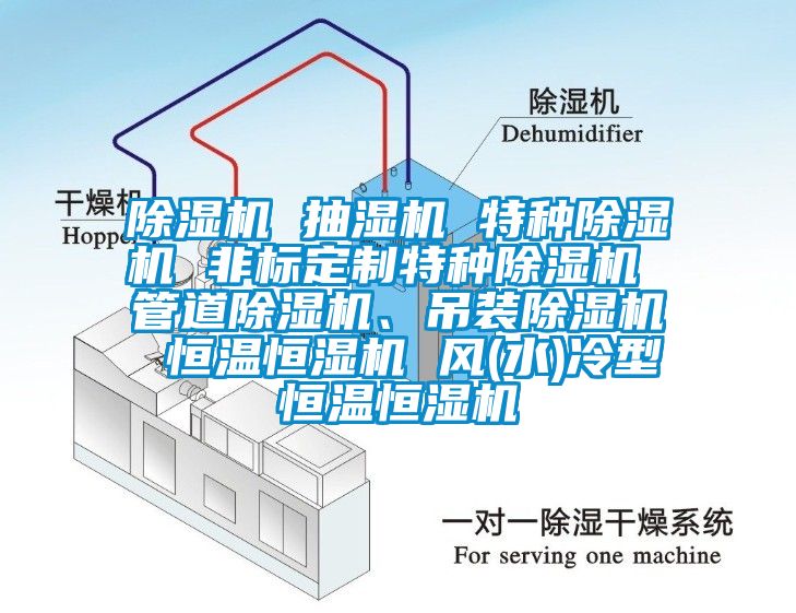 除濕機(jī) 抽濕機(jī) 特種除濕機(jī) 非標(biāo)定制特種除濕機(jī) 管道除濕機(jī)、吊裝除濕機(jī) 恒溫恒濕機(jī) 風(fēng)(水)冷型恒溫恒濕機(jī)