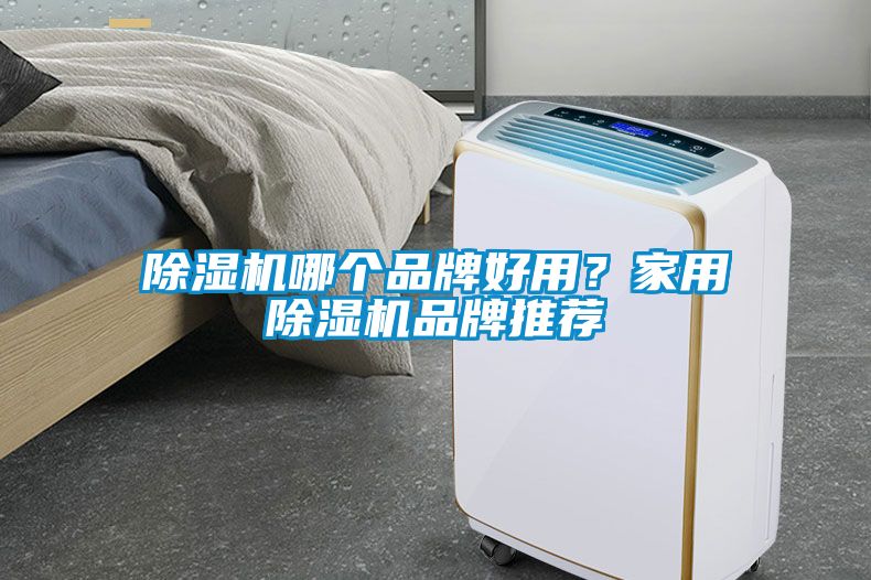 除濕機哪個品牌好用？家用除濕機品牌推薦