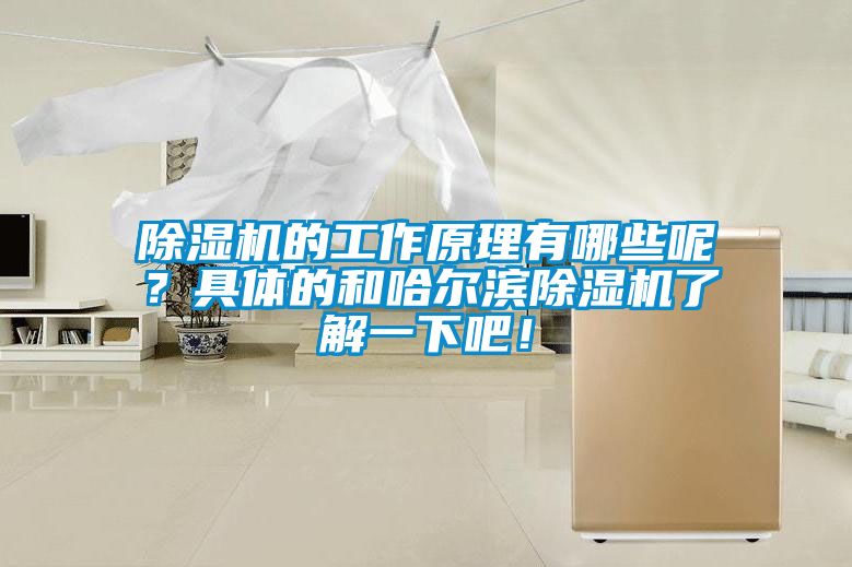 除濕機的工作原理有哪些呢？具體的和哈爾濱除濕機了解一下吧！