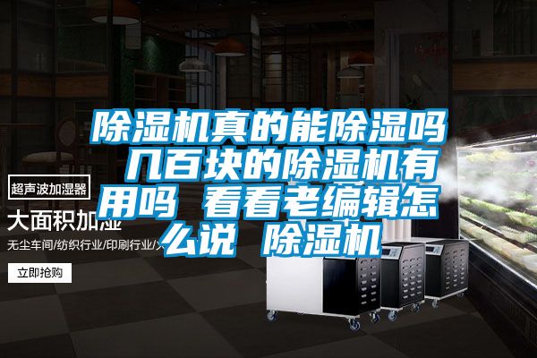 除濕機真的能除濕嗎 幾百塊的除濕機有用嗎 看看老編輯怎么說 除濕機