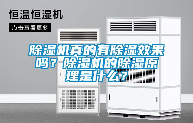 除濕機(jī)真的有除濕效果嗎？除濕機(jī)的除濕原理是什么？