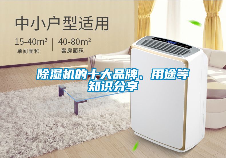 除濕機(jī)的十大品牌、用途等知識分享