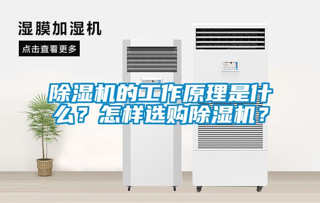 除濕機的工作原理是什么？怎樣選購除濕機？