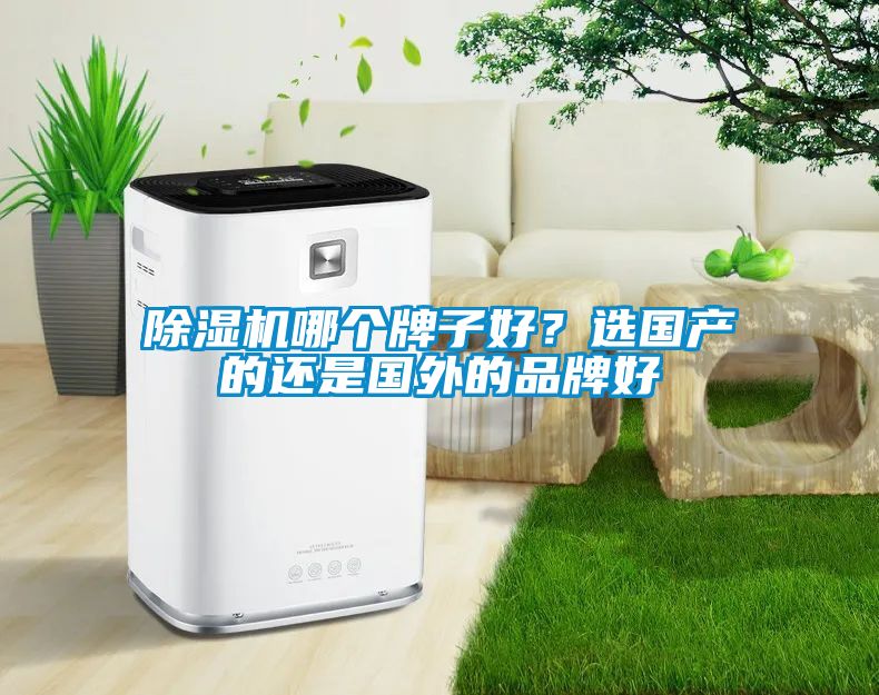 除濕機哪個牌子好？選國產的還是國外的品牌好