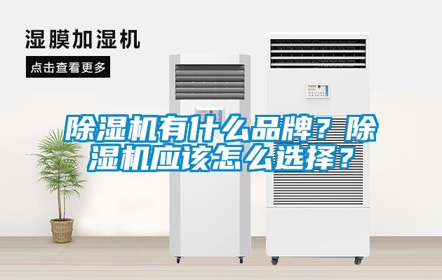 除濕機(jī)有什么品牌？除濕機(jī)應(yīng)該怎么選擇？