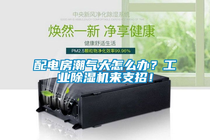 配電房潮氣大怎么辦？工業(yè)除濕機(jī)來支招！