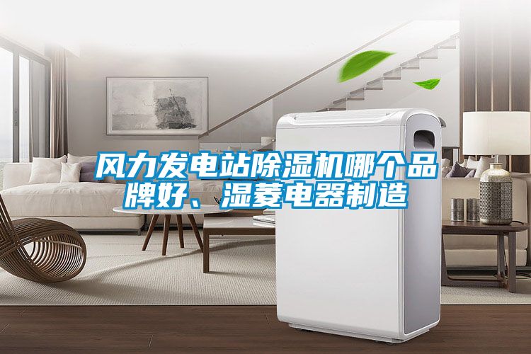 風(fēng)力發(fā)電站除濕機哪個品牌好、濕菱電器制造