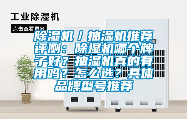 除濕機／抽濕機推薦評測：除濕機哪個牌子好？抽濕機真的有用嗎？怎么選？具體品牌型號推薦