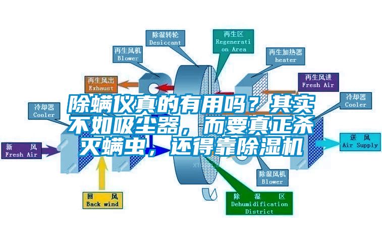 除螨儀真的有用嗎？其實不如吸塵器，而要真正殺滅螨蟲，還得靠除濕機